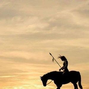 Meet your Posher, Darlene